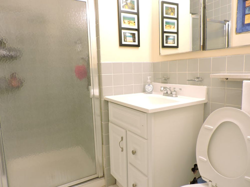 2 Bed 2 Bath  |  555 W Cornelia #1501  |   Lakeview