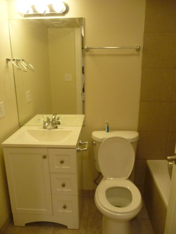 3 Bed 2 Bath  |  1803 W Superior #GDN  |  West Town