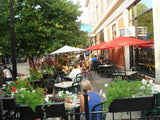 1 Bed 1 Bath  |  2738-GDN W Winnemac  |  Lincoln Square